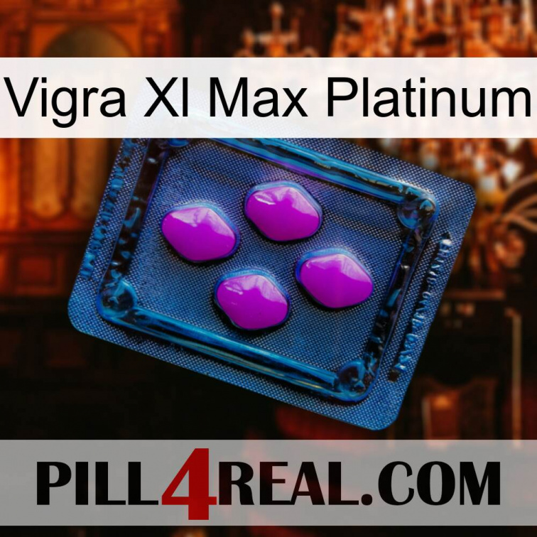 Vigra Xl Max Platinum 04